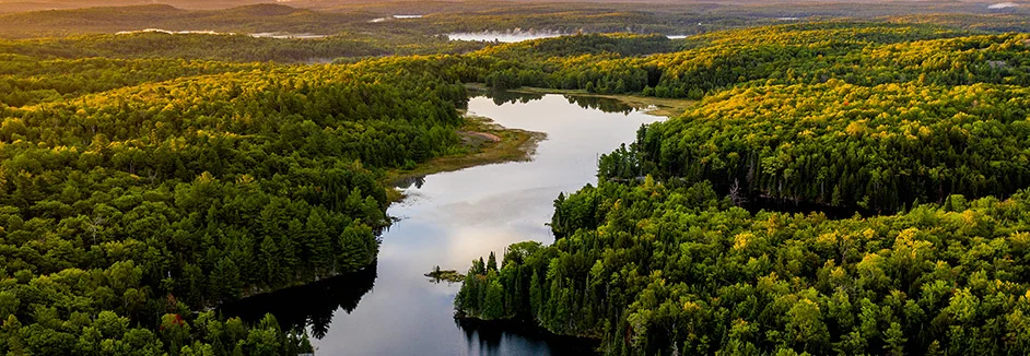 Luftaufnahme eines bewaldeten Sees